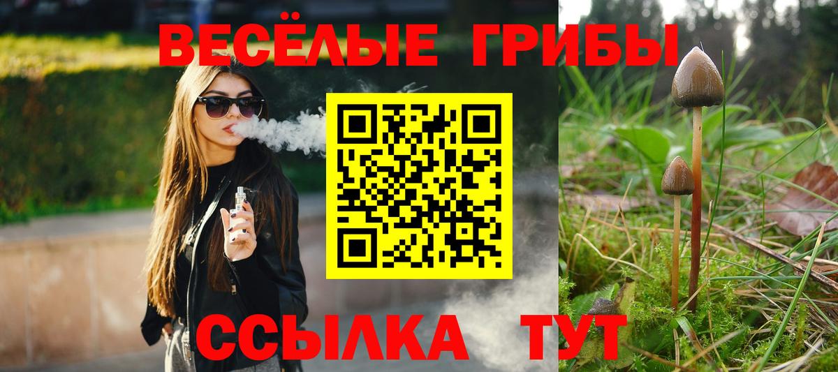 Псилоцибиновые грибы прущие грибы  Вход с VPN  Елабуга  Псилоцибиновые грибы Magic Shrooms 