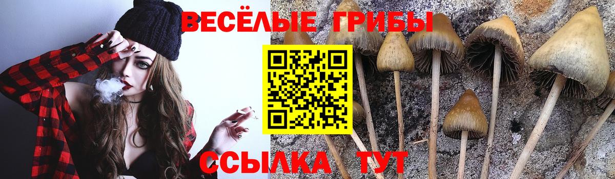 Галлюциногенные грибы ЛСД Елабуга